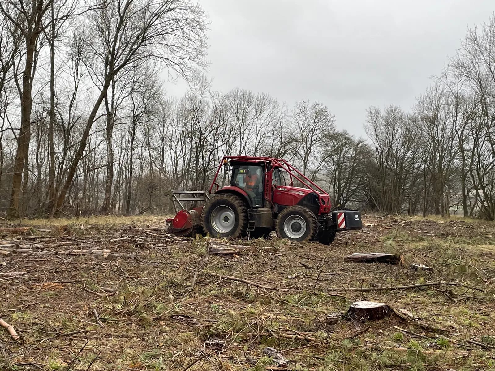 Forestry tractor with a mulching head working through felled woodland