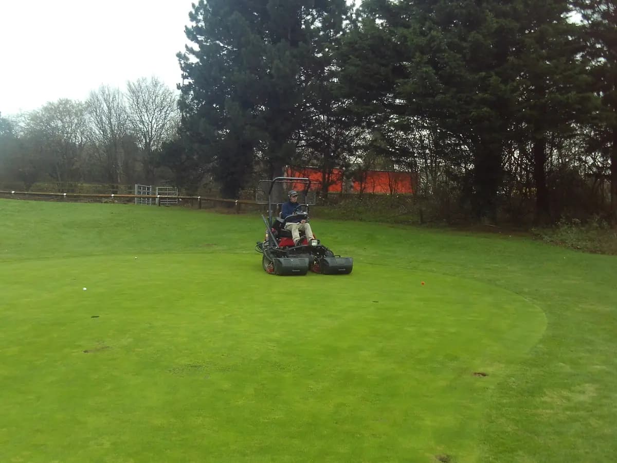 Greens mower cutting a golf green beside the treeline
