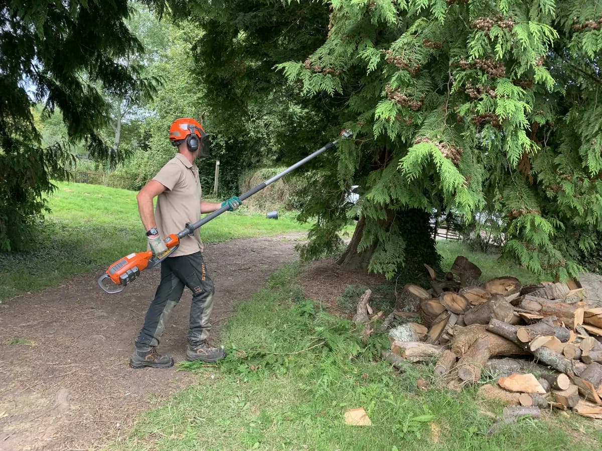 Battery pole saw trimming a conifer above a log pile